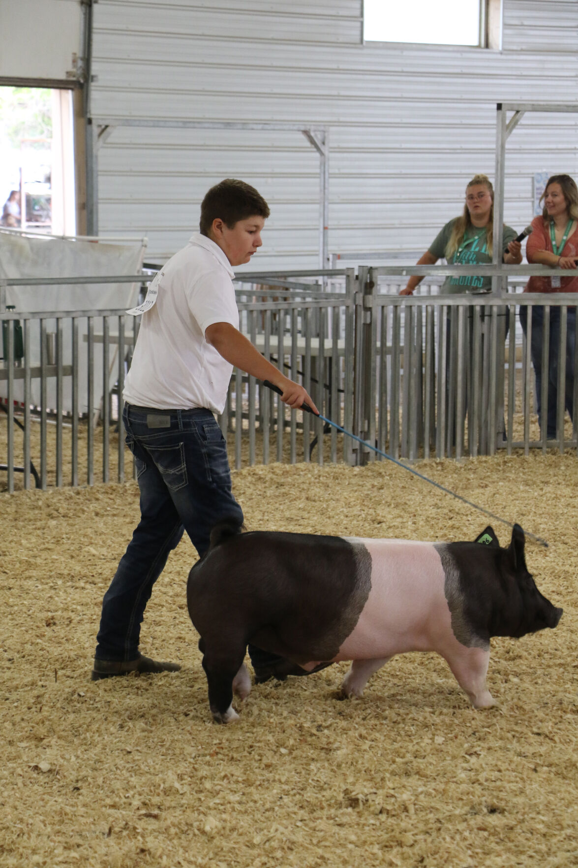 PHOTOS: Pig Showmanship